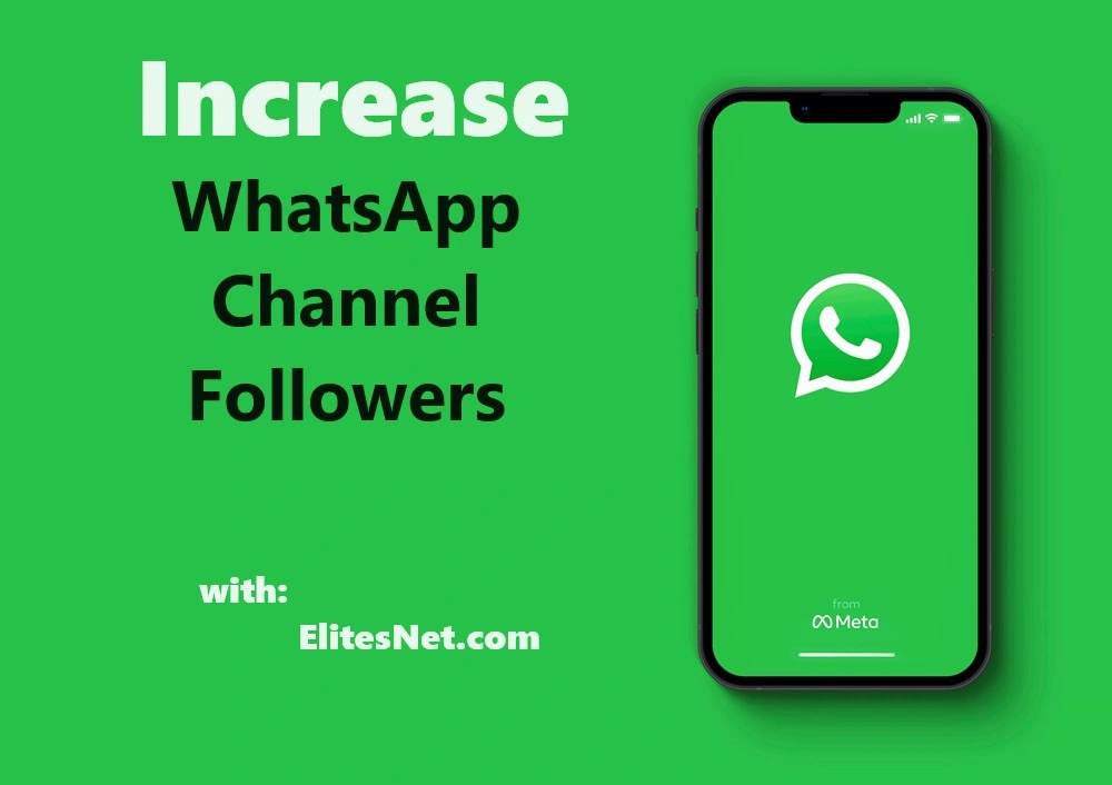 increase-WhatsApp-Channel-Followers